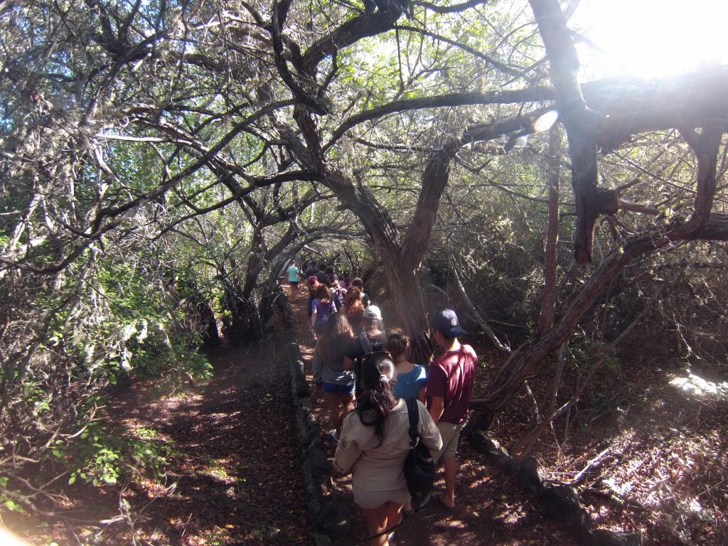 DCIM105GOPRO