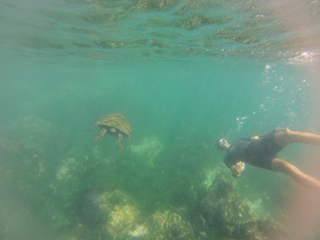 DCIM105GOPRO